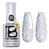 F - Shimmery Silver | Holographic Stardust