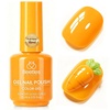 M - Creme Orange | Carrot Orange