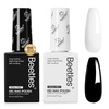 Monochrome Aesthetics